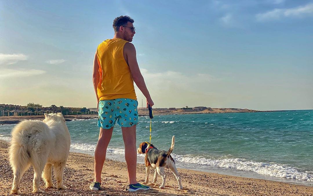 محمود حجازي