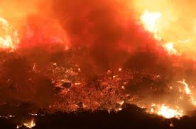 حرائق الغابات