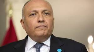 سامح شكري - وزير الخارجية