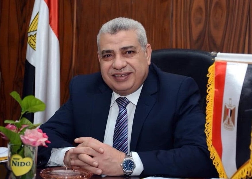 نائب رئيس جامعة طنطا