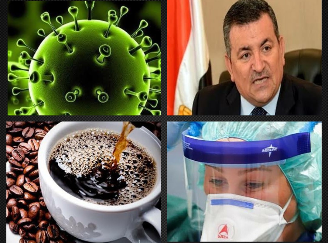 نشرة أخبار التوك شو