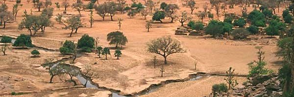 صورة أرشيفية - تعبيرية