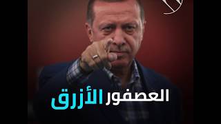 أردوغان 