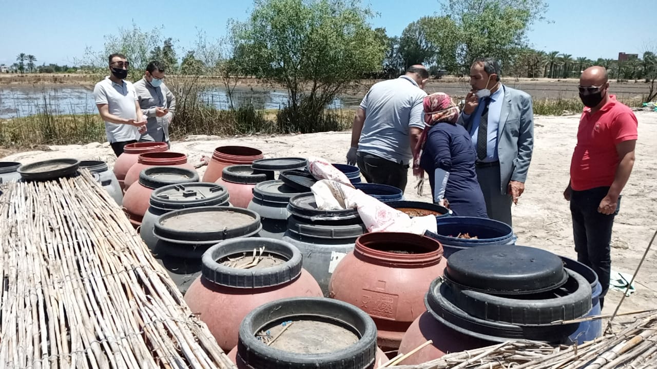 محافظ الدقهلية: غلق مصنع مخللات وضبط 21 طن منتهية الصلاحية
