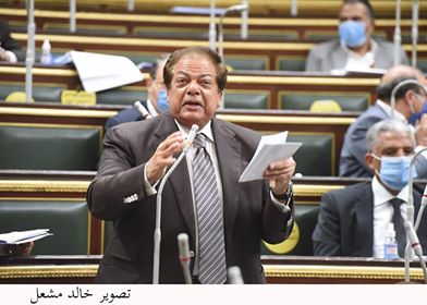 النائب محمد أبو العينين