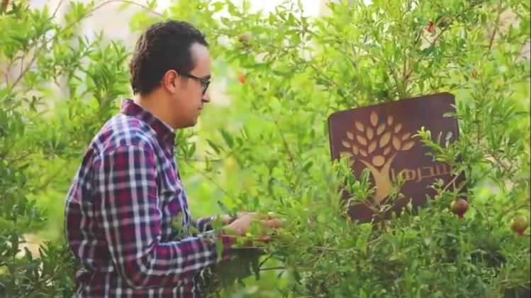 عمر الديب مؤسس مبادرة شجرها
