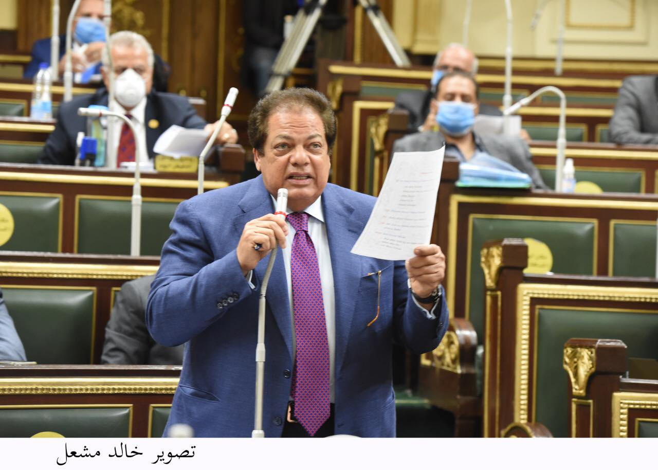 النائب محمد أبو العينين بالجلسة العامة