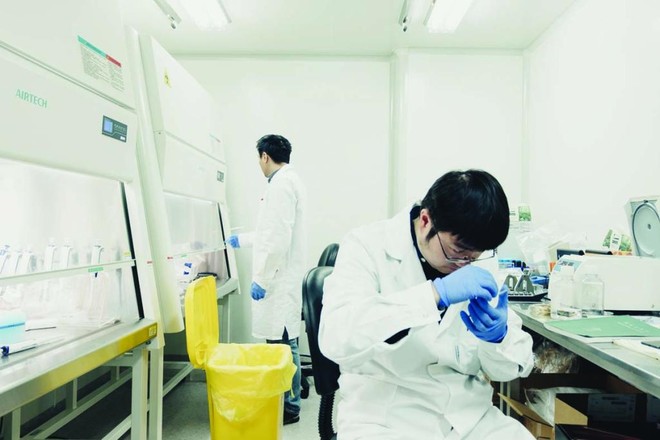 الصين تتوصل لطريقة جديدة لعلاج السرطان