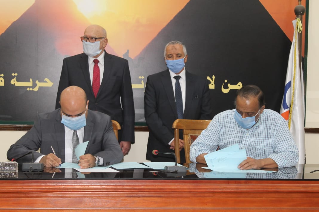 الزراغة توقع بروتوكول