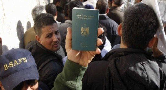المصريين بالخارج