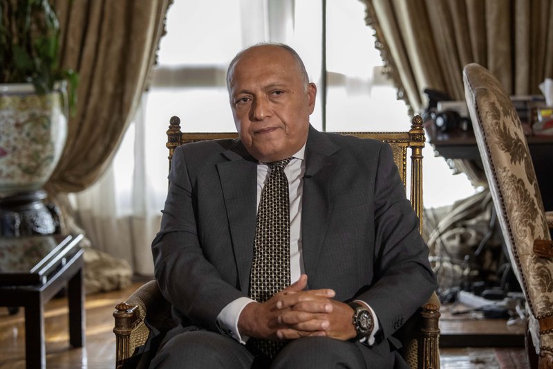 شكري خلال حواره مع أسوشييتدبرس