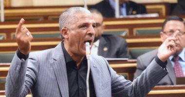 ممدوح الحسيني عضو مجلس النواب
