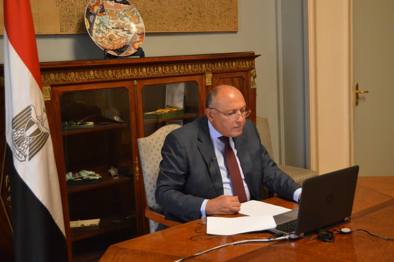 وزير الخارجية سامح شكري