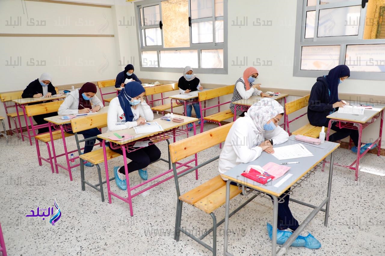 تعليم دمياط