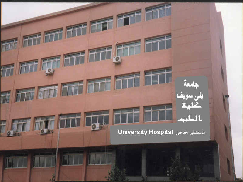 جامعة بني سويف