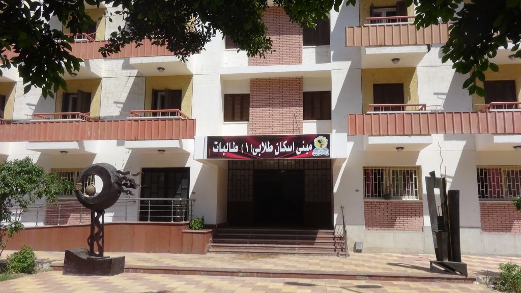 جامعة االمنيا
