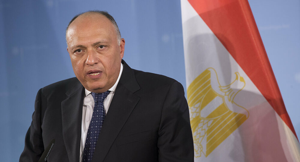 السفير سامح شكري