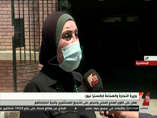 نيفين جامع، وزيرة التجارة والصناعة