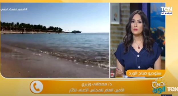 دكتور مصطفي وزيري 