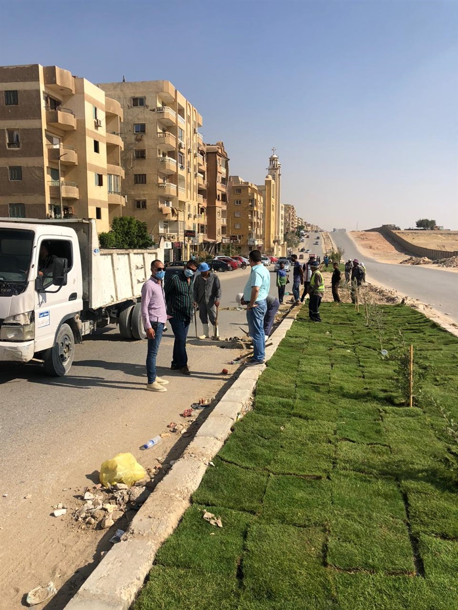 تشجير الشوارع بهضبة الاهرام 
