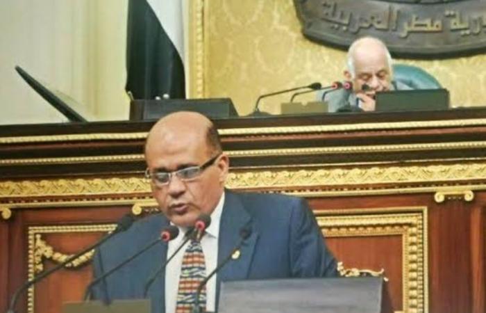 النائب طارق متولي