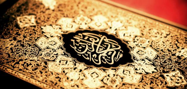 على جمعة يوضح جانباً من تكريم الله للنبي في القرآن