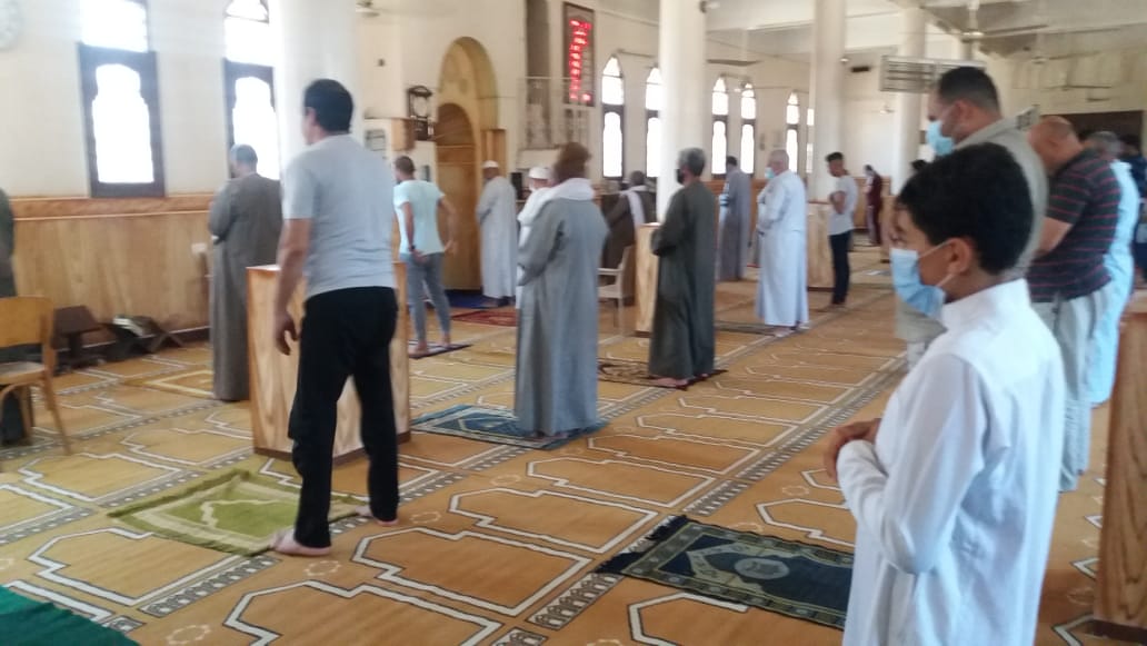 ارشيفية