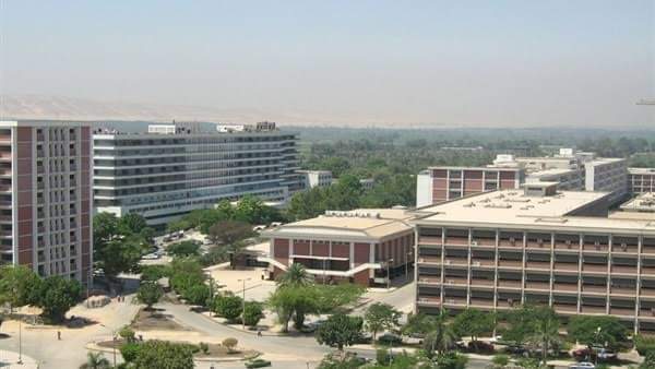 جامعة اسيوط 