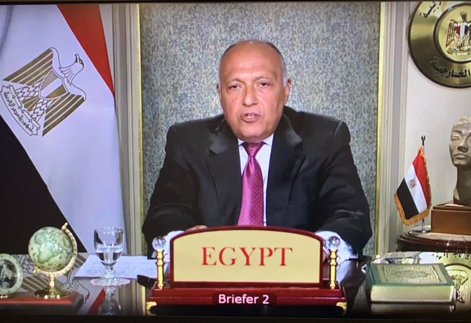 سامح شكري وزير الخارجية