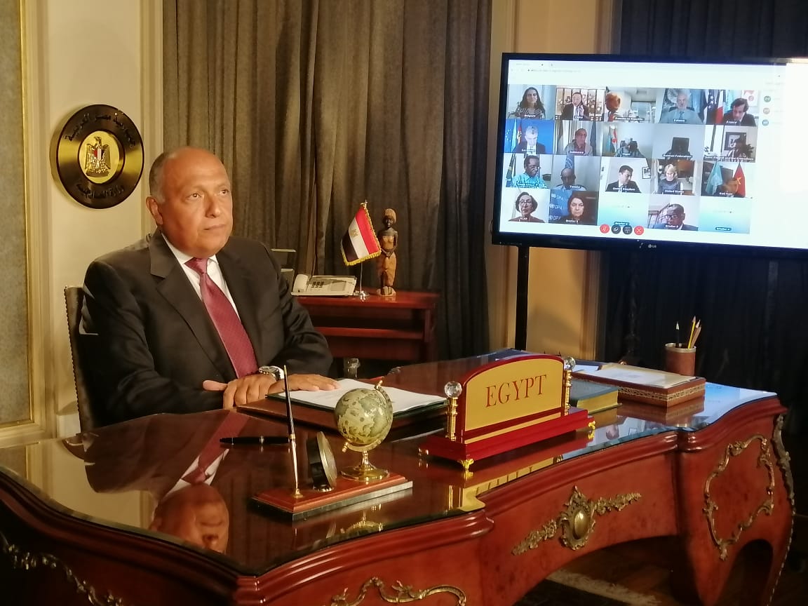 الوزير شكري خلال جلسة مجلس الأمن حول سد النهضة