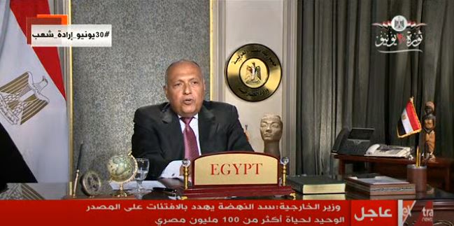 وزير الخارجية سامح شكري