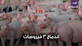 فيروس جديد