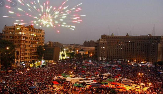 ثورة 30 يونيو 
