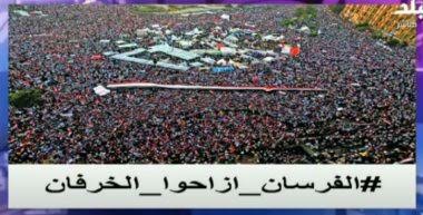 ثورة ٣٠يونيو