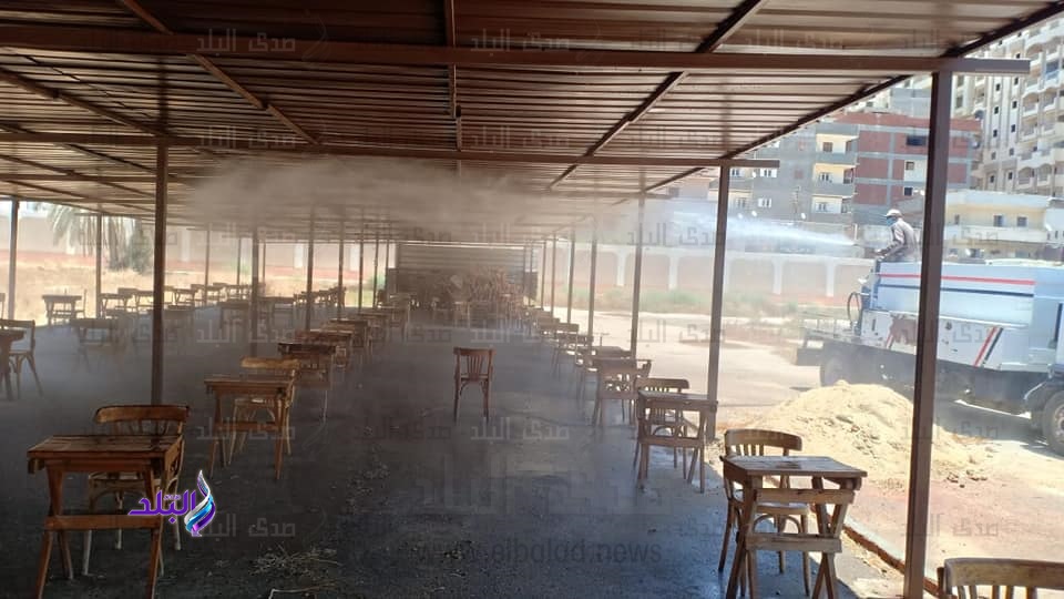 تطهير اللجان