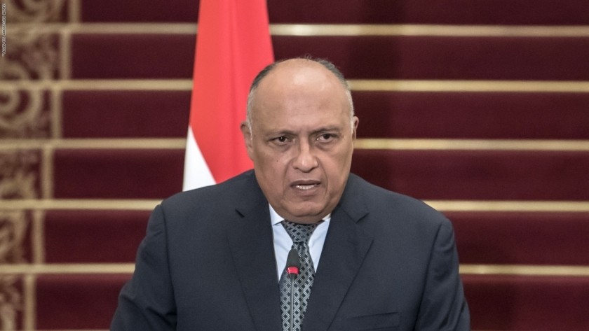 سامح شكري وزير الخارجية