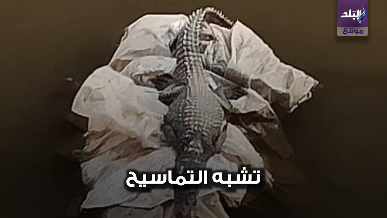 ترعة المريوطية