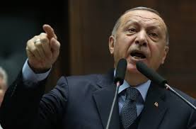 حفيد أردوغان يغضب الأتراك