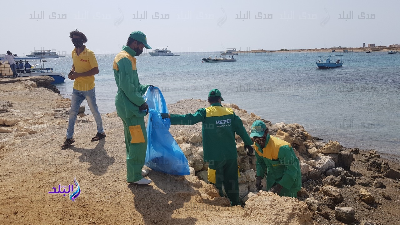حملة نظافة تحت قاع البحر بمرسى علم