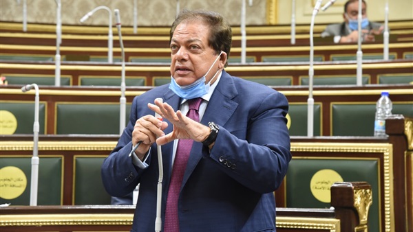 النائب محمد أبو العينين
