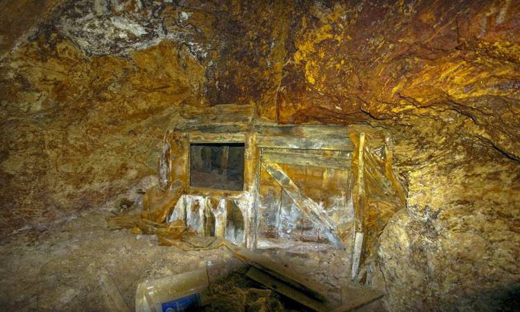 اكتشاف منجم ذهب