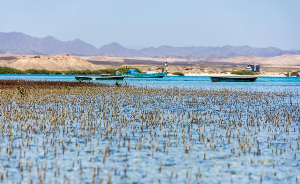 قرية القلعان