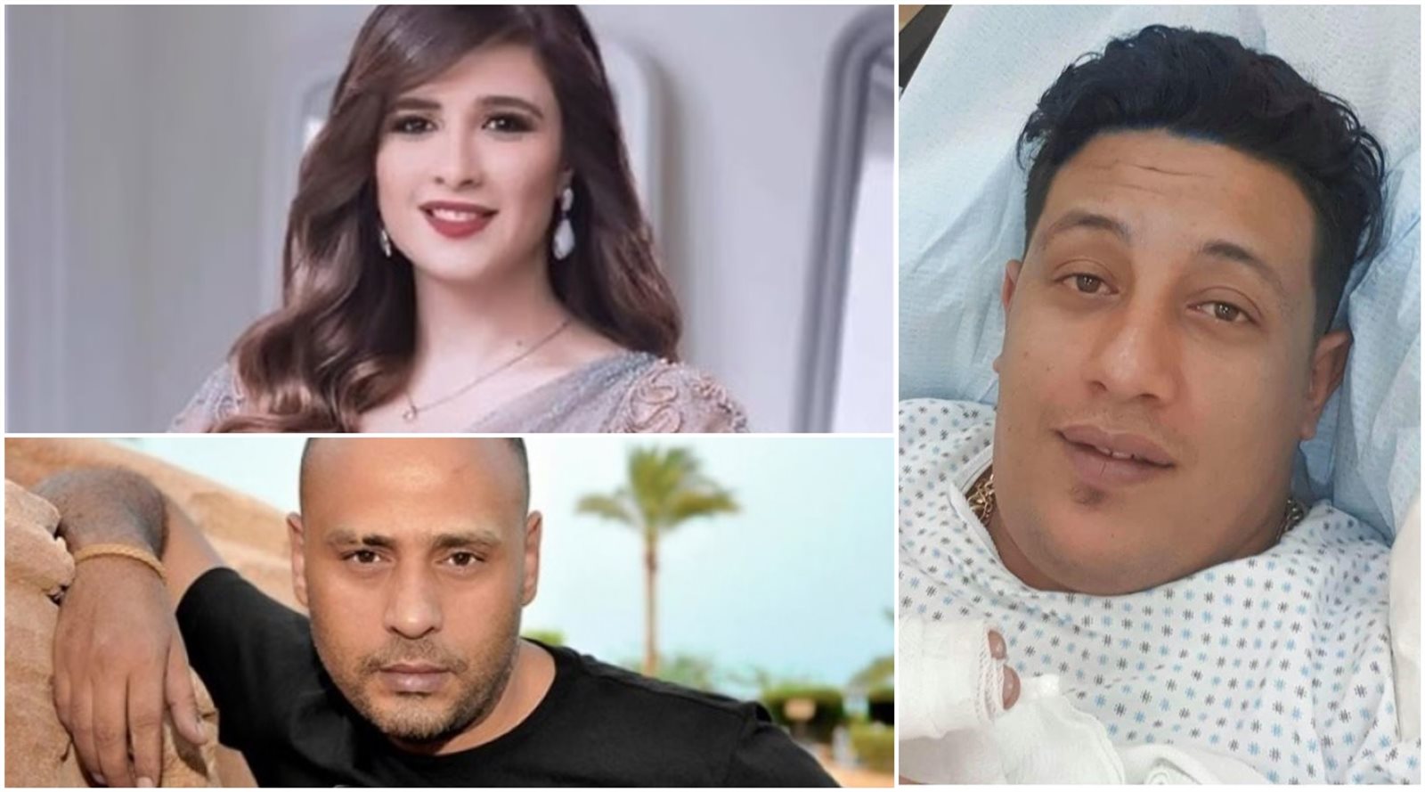 أخبار الفن 