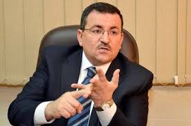 أسامة هيكل 