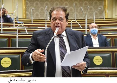 النائب محمد أبو العينين