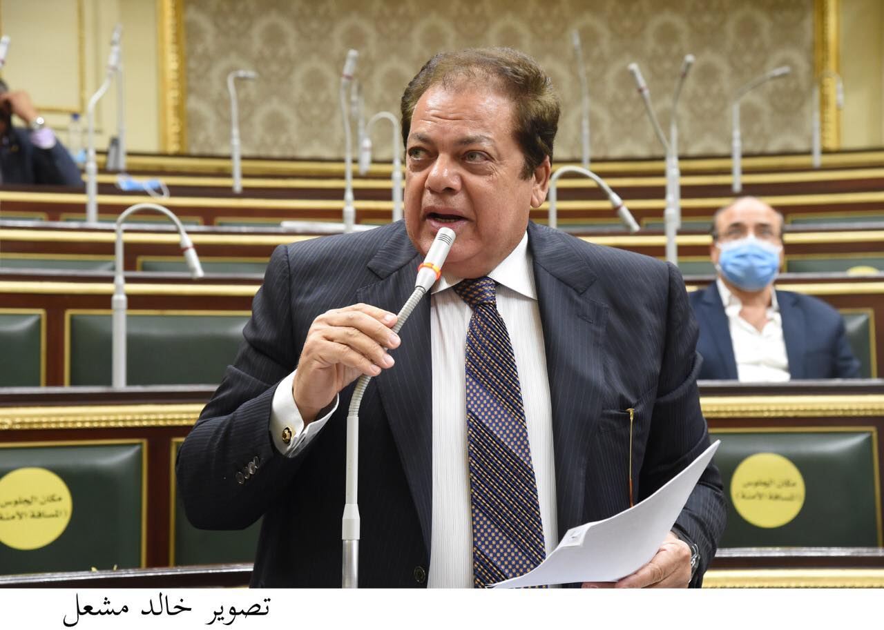 النائب أبو العينين أمام البرلمان