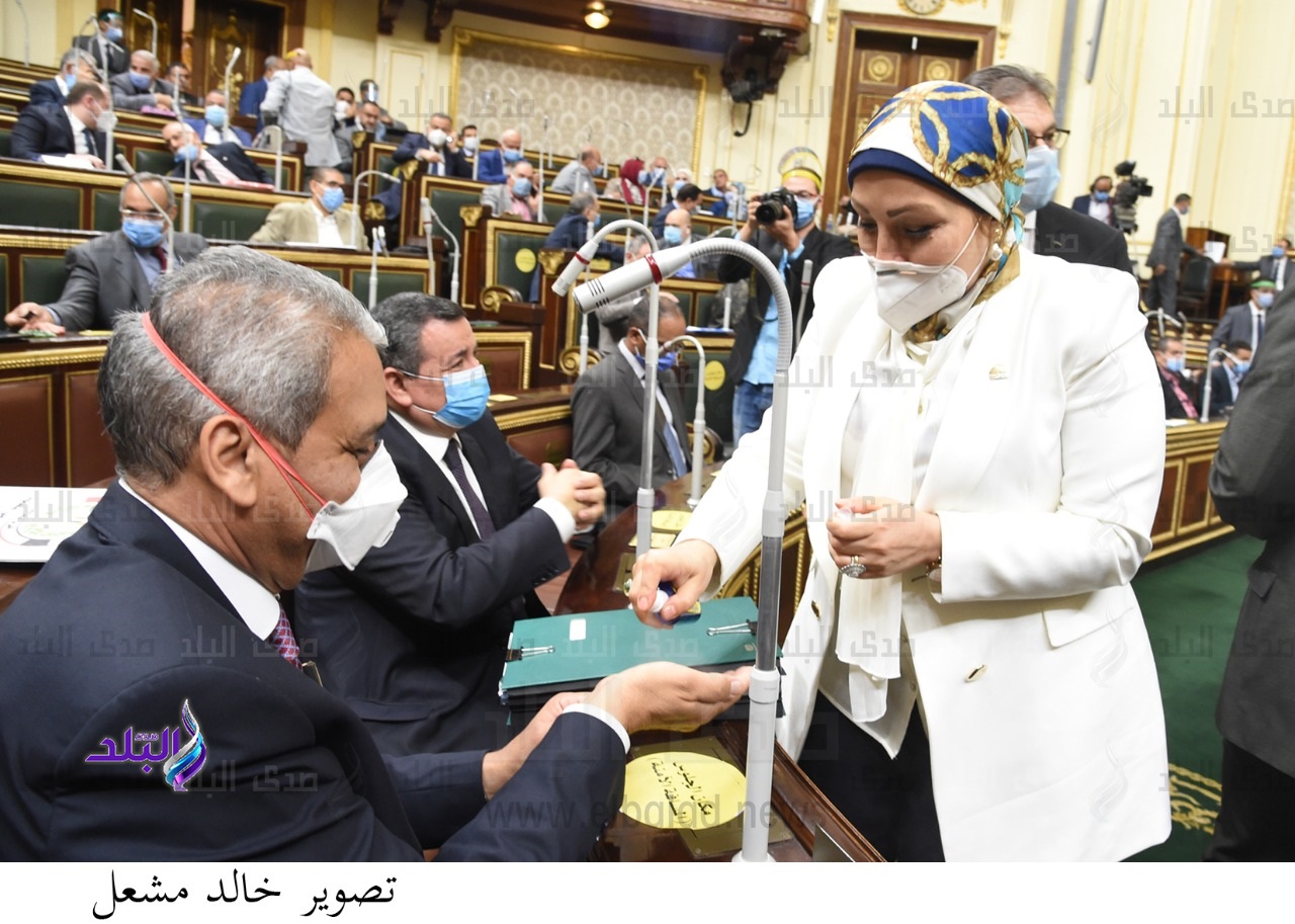 هالة ابو السعد عضو مجلس النواب
