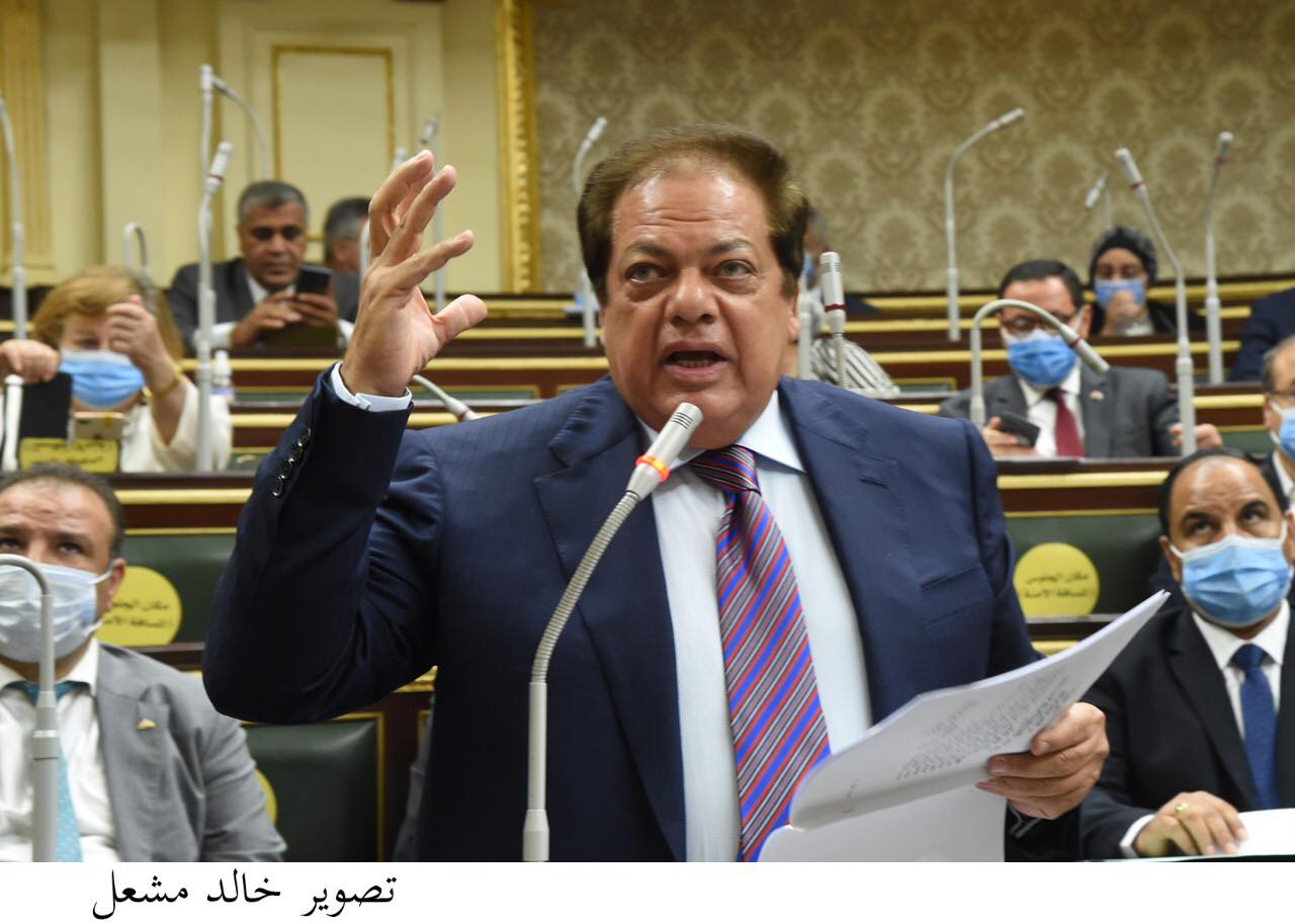 النائب محمد أبو العينين بالجلسة العامة