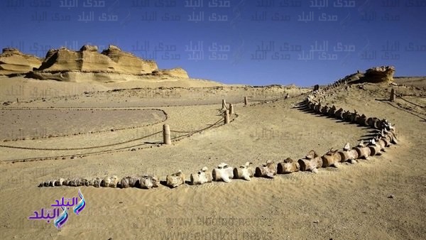 وادى الحيتان 