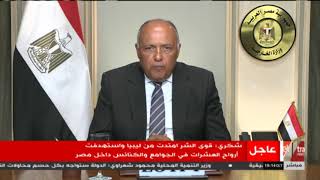 سامح شكري وزير الخارجية 